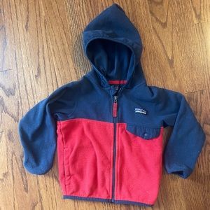Patagonia Kids Micro D Snap-T Fleece Jacket
